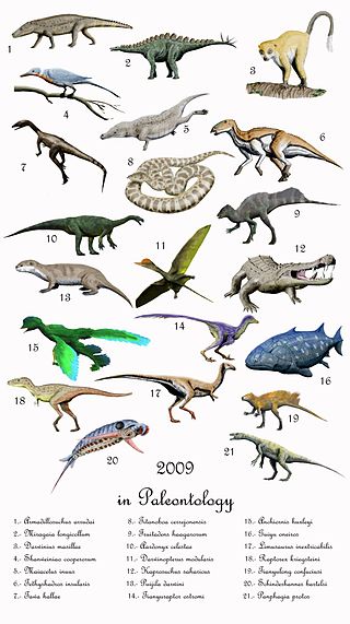 <span class="mw-page-title-main">2009 in paleontology</span> Overview of the events of 2009 in paleontology