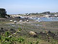 Le port de Porscave (Porscaff) en Lampaul-Plouarzel vu depuis le GR 34 (rive droite de l'anse de Milin an Aod en Plouarzel) à marée basse 1.