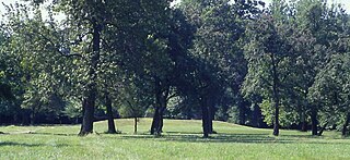 <span class="mw-page-title-main">Mound 72</span> Ridgetop Mississippian mound in Madison County, Illinois