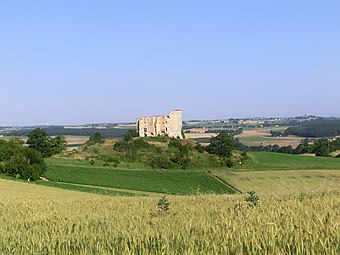 Ruines du château en 2013...