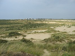 Deel van het reservaat met in de verte De Panne