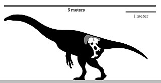 <i>Enigmosaurus</i> Extinct genus of reptiles