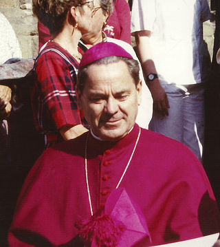 <span class="mw-page-title-main">Johannes Dyba</span> German prelate