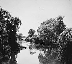 A Molonglo-folyó Acton mellett, 1920-ban