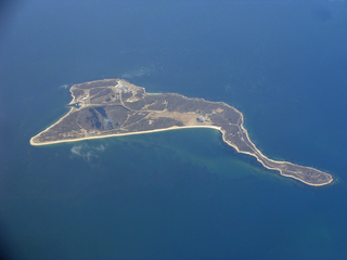 <span class="mw-page-title-main">Plum Island (New York)</span> Island in New York, United States