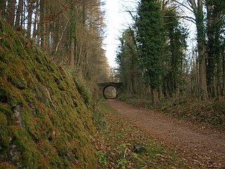 Severn and Wye Railway