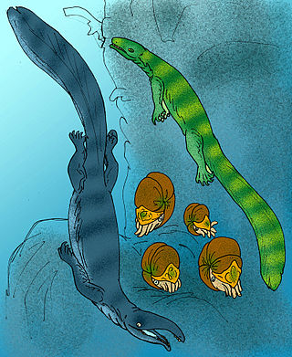 <span class="mw-page-title-main">Thalattosauroidea</span> Extinct superfamily of reptiles