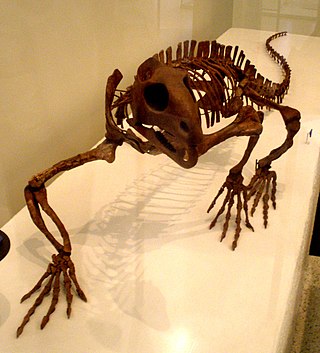 <i>Trilophosaurus</i> Extinct genus of reptiles