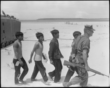 Viet Cong prisoners in 1965. Vietnam....Known Viet Cong prisoners are being led to a helicopter landing zone for evacuation to the regimental... - NARA - 532428.tif