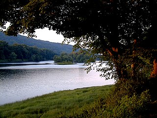 <span class="mw-page-title-main">Worthington State Forest</span> State forest in New Jersey