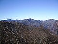 从鹰巢山（日语：鷹ノ巣山 (東京都)）眺望云取山