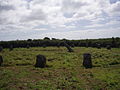 Image 36Boscawen-Un stone circle looking north (from Culture of Cornwall)