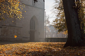 Dülmen, North Rhine-Westphalia, Germany