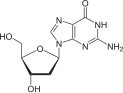 Chemical structure of deoxyguanosine