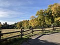 Thumbnail for File:Field in Sandia Mountains, New Mexico.jpg