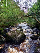 Glenmacnass River above Laragh