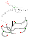 صورة SVG جديدة