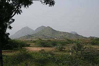 <span class="mw-page-title-main">Kalakkad</span> Municipality in Tamil Nadu, India