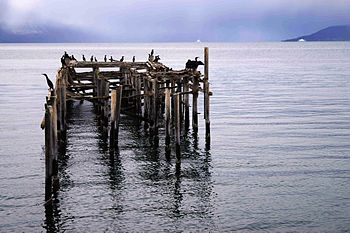 Jøvik and Great cormorants near Ullsfjorden Troms, Tromsø, Norway. Photograph: Siri Uldal Licensing: CC-BY-SA-3.0