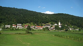 <span class="mw-page-title-main">Kočevske Poljane</span> Place in Lower Carniola, Slovenia