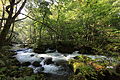 Towada-Hachimantai Parke Nazionala.