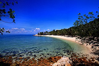 <span class="mw-page-title-main">Tengah Island</span> Island in Malaysia