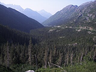 <span class="mw-page-title-main">White Pass</span>