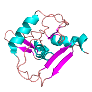 <span class="mw-page-title-main">PHF6</span> Protein-coding gene in the species Homo sapiens