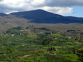 ამიატა