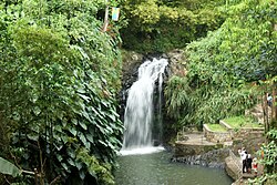 Annandale Waterfalls