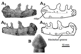 <i>Diodorus scytobrachion</i> Extinct species of reptile