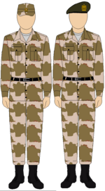 Egyptian Army Thunderbolt camouflage uniform