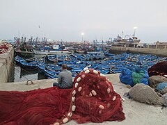 Flotte traditionnelle de sardiniers du port d'Essaouira au Maroc.