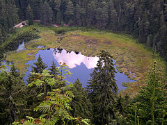 20.8.06 Huzenbacher See