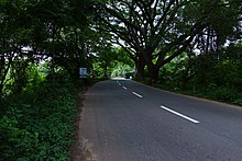 A road in Nilambur Nilambur 03902.JPG