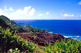 St. Paul's Point na zahodu otoka Pitcairn