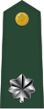 Lieutenant colonel