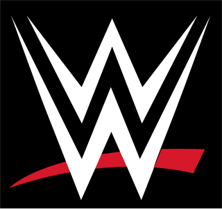 <span class="mw-page-title-main">Reality Era</span> Period of professional wrestling within WWE, 2014–2016