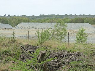 <span class="mw-page-title-main">Warnham SSSI</span>