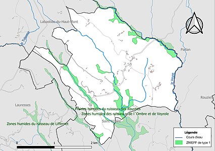 Carte des ZNIEFF de type 1 sur la commune.