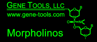 <span class="mw-page-title-main">Gene Tools</span> Biotechnology company