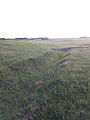 Trenches at Camp Hughes