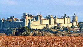 Carcassonne and vineyards