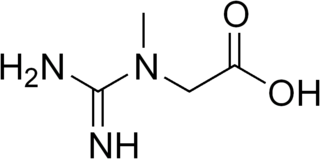 <span class="mw-page-title-main">Guanidinoacetate methyltransferase deficiency</span> Medical condition