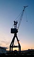 Grue sur les docks de Belfast.