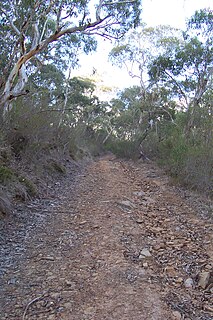 Finniss Conservation Park Protected area in South Australia