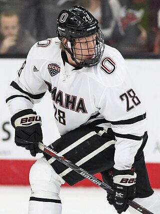 <span class="mw-page-title-main">Fredrik Olofsson</span> Swedish ice hockey player