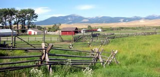 <span class="mw-page-title-main">Ranch</span> Large area of land for raising livestock