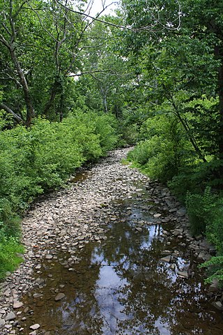 <span class="mw-page-title-main">Horton Creek (Tunkhannock Creek tributary)</span> River