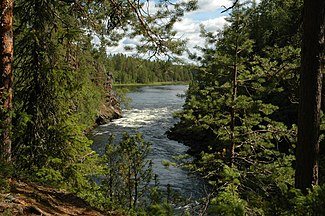 Trees, Suomi (Finland)